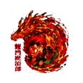 thumbnail image 2 of Camiseta para hombre, estilo Harajuku, elemental, Tanjiro Tanmon, dragón de fuego, única, anime, estilo personalizado., 2 of 7