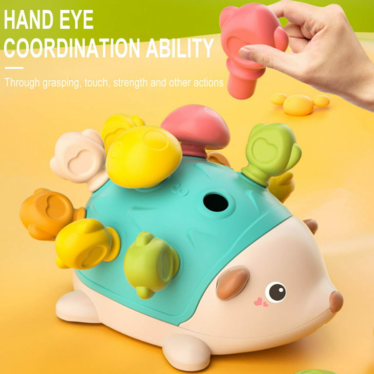 Fridja Baby Concentration Training Toys Hedgehog for Ages 18+ Months Toddler Learning Toys, Fine Motor and Sensory Toys, Educational Toys for Toddlers