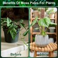 thumbnail image 2 of 4Pcs Moss Pole 23.6” Reusable Plastic Plant Pole Stick Transparent Plant Support Weather Resistant Moss Stick, 2 of 10