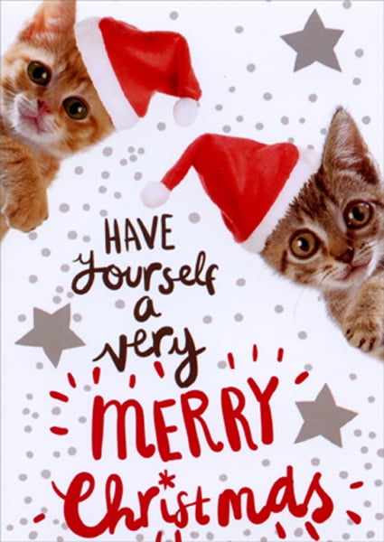 American Greetings Two Very Merry Kittens Cute Cat Christmas Card