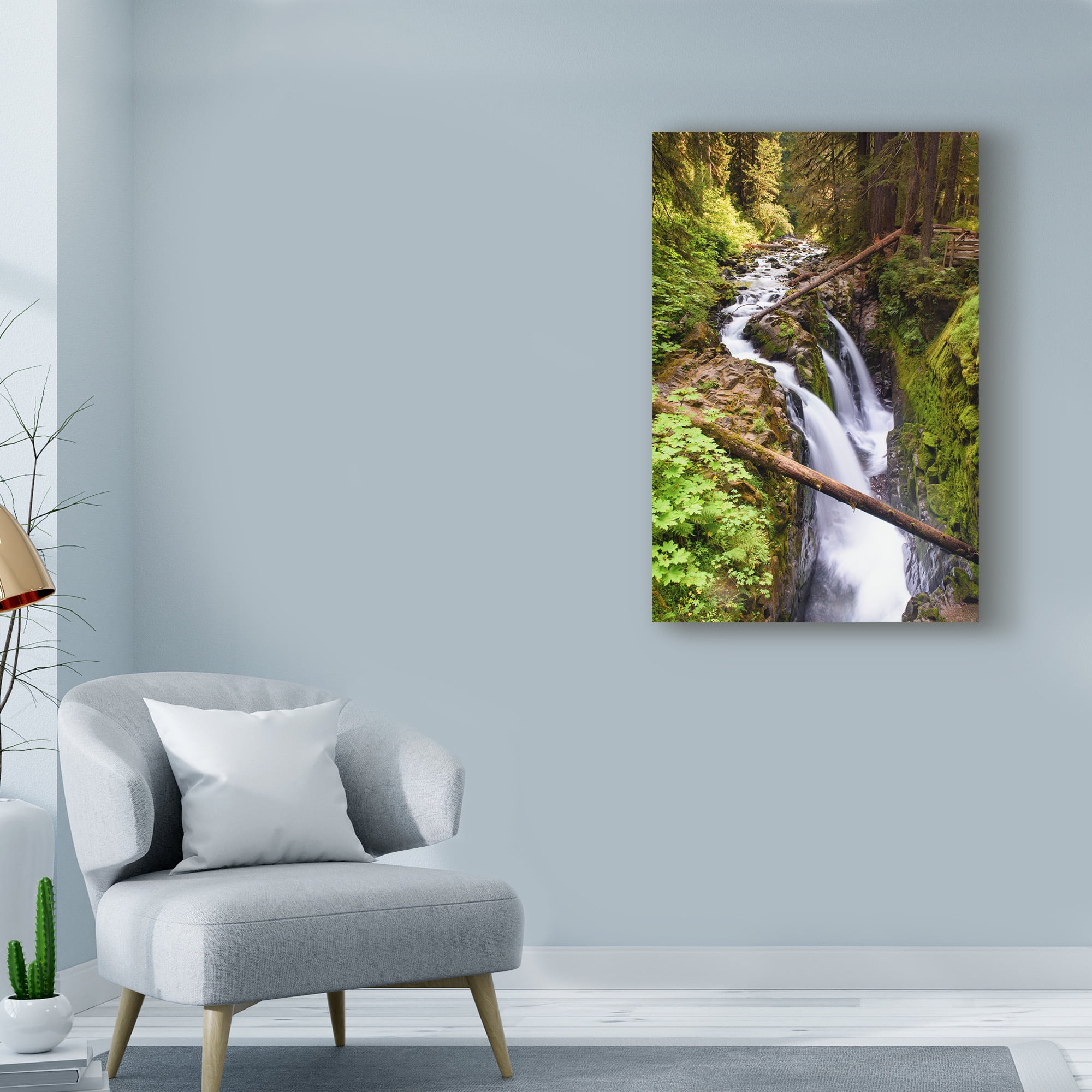 Trademark Fine Art 'Sol Duc Falls' Canvas Art by Michael Blanchette Photography