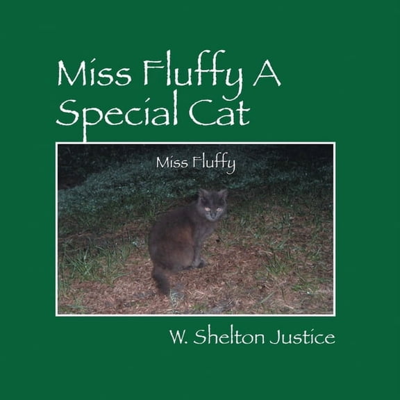 Miss Fluffy A Special Cat, (Paperback)
