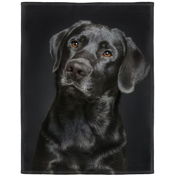 HommomH Black Lab Blanket, Gorgeous Labrador Dog Print, Soft Fluffy Fleece Throw 50"x60"