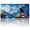Bald Eagle on Rocky Outcrop with American Flag and Mountainous Background, variant on 1 Pcs License Plate Covers & Frames, Brown Bear in Autumn Forest with Fall Foliage For Decorative Front, Aluminum License Plate Covers & Frames Cover For Men Women, 12" X 6"