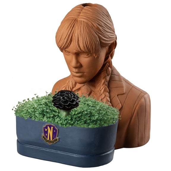 Wednesday Addams Chia Pet  Handmade Decorative Planter by JEI