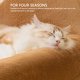 thumbnail image 3 of Sofá Cama Para Gatos, Suave, Cálido, Multifuncional, Diseño De Oso Marrón, Acogedoras Camas Para Dormir Para Mascotas, Sofá Cama Para Gatos Para Dormir En Interiores O, 3 of 7