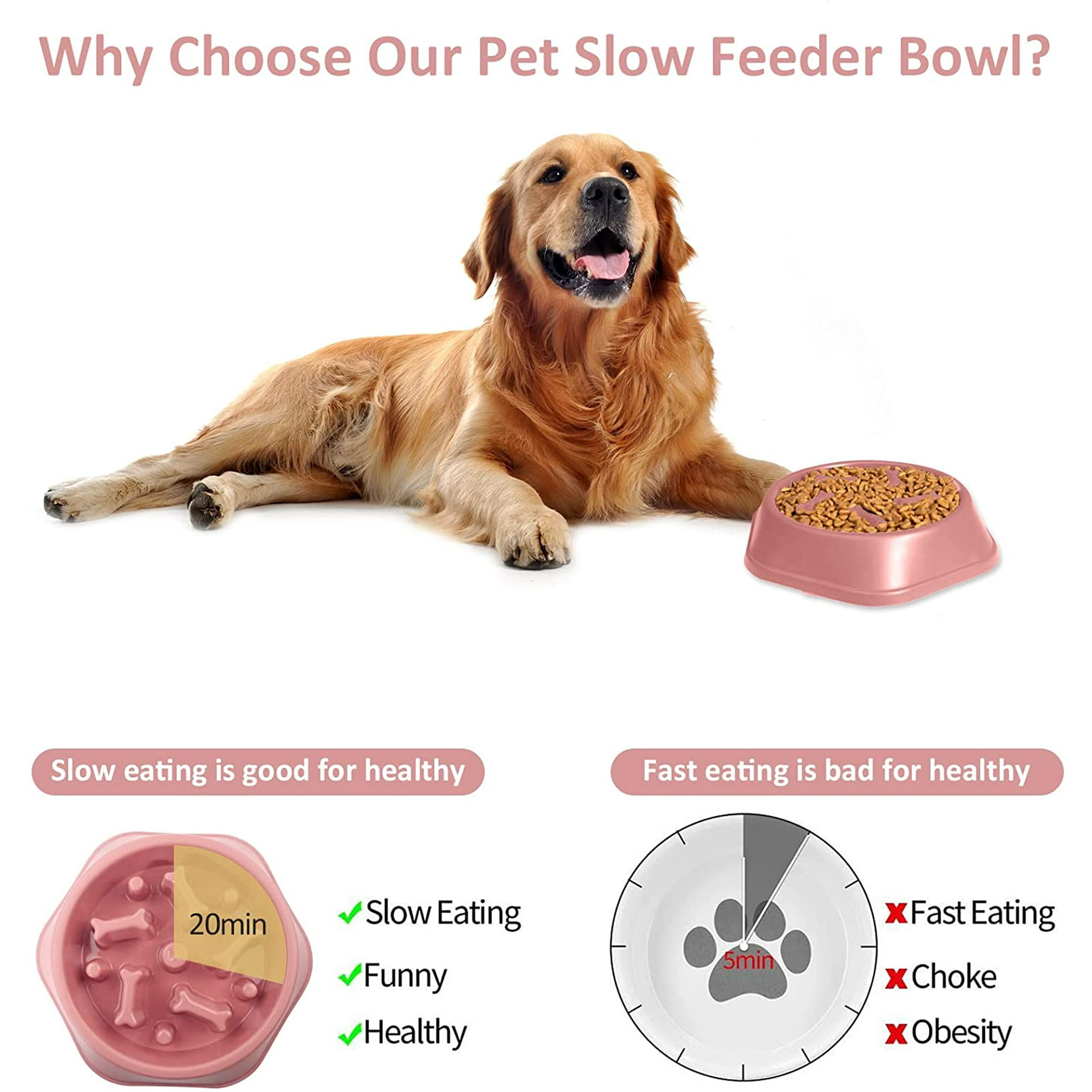 Dog food bowl price hot sale