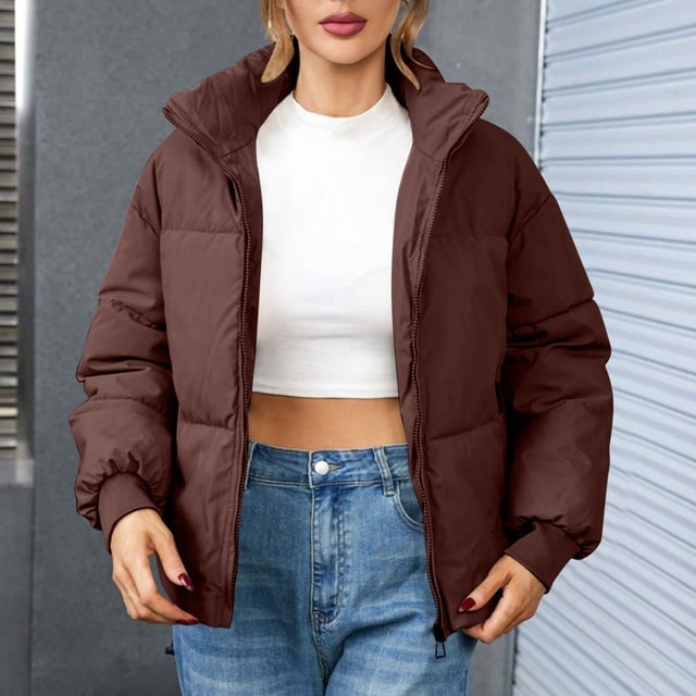 Chaquetas y abrigos casuales sin capucha de manga larga para mujer, chaqueta de invierno lisa de manga larga, abrigo con cremallera, blusa, abrigo para mujer