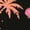 Black, variant on Black S-5XL Concise Beachy Seashell Palm Tree Print Tshirt Graphic Tees Shirts Aesthetic Summer Fashion Tops