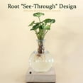 thumbnail image 4 of LED Hydroponic Vase - Round Glass Desktop Terrarium with Waterproof Lighted Wooden Base, Visible Root Growth Planter for Indoor Plants, Home Office Decorative Lighted Plant Vase, White, 4 of 8