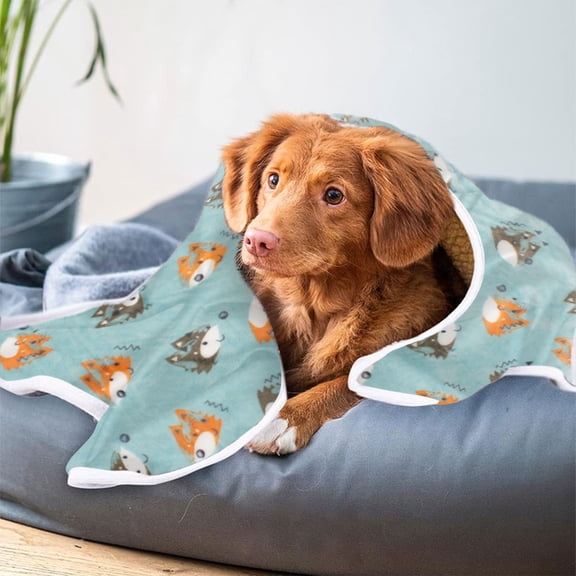 Printed Pet Blanket Winter Warm Cover Suitable For Indoor Pet Winter Warm Sleeping, C