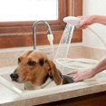 thumbnail image 3 of White Bath Sink Single Tap Shower Attachment Head Hose Spray -washing / Dresser Hair Pet - Push On Mixer Xxf, 3 of 5