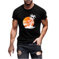 thumbnail image 2 of Meichang T-Shirts Graphiques pour Hommes T-Shirts à Col Rond Imprimés 3D Palmier Tropical Coucher de Soleil Coupe Régulière Manches Courtes T-Shirts d'Entraînement T-Shirts d'Été pour Muscles pour Hommes Liquidation Offres 2024 Noir TG, 2 of 5