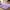 Purple, variant on Lochas Super Soft Rainbow Area Rugs Colorful Carpet Plush Rug for Living Room Bedroom Kids Room Fluffy Mat, 4'x6'