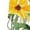 Yellow, variant on Aboser Womens Slim Fitted Capri Leggings Stretch Comfy Dailywear Tummy Control Yoga Pants Casual Floral Print Workout Leggings for Women