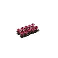 thumbnail image 1 of Dalazy 10 Pieces Motorcycle Bolts Set Aluminum Alloy Universal Motorbike Screws Nuts Body Modification Replacement Maintenance Red, 1 of 8