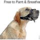 thumbnail image 1 of Nylon Anti-bit, Anti-bark, Anti-chew, Adjustable Ring (xl, Black)-Yvan Soft Dog Muzzle, 1 of 4