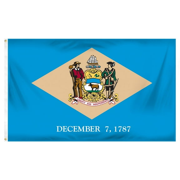 Delaware 3ft x 5ft Printed Polyester Flag