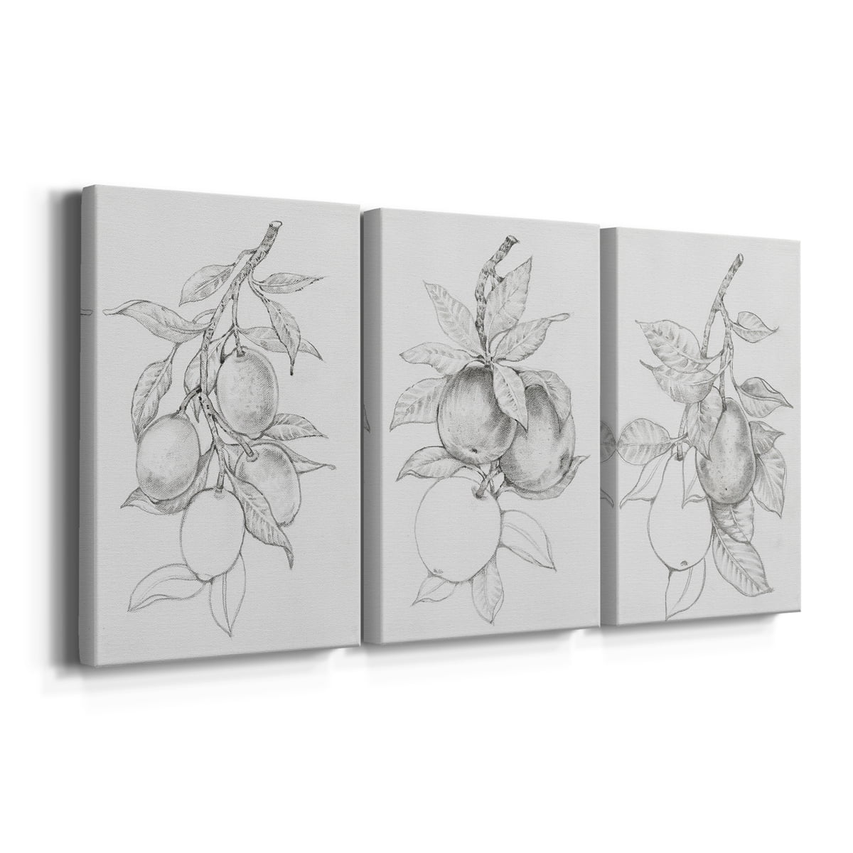 Fruit-Bearing Branch I Premium Gallery Wrapped Canvas - Ready to Hang - 12 x 18 Each