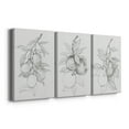 thumbnail image 3 of Fruit-Bearing Branch I Premium Gallery Wrapped Canvas - Ready to Hang - 18 x 27 Each, 3 of 10