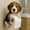 H 8O1, variant on Wuztai Dog Toilet Paper Holder Wall Mount Dispenser, Realistic Dog Sculpture Bathroom Tissue Roller, Decorative Pet Theme Paper Towel Hold