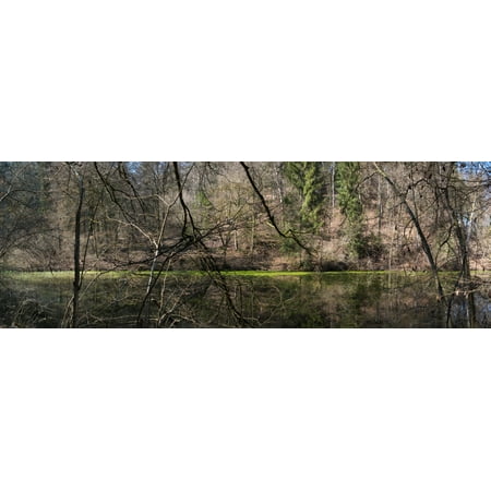 Northern Reflections - Reflection of trees in water Northern Black Forest Region Horb am Neckar Baden-Wurttemberg Germany Poster Print