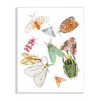 Stupell Industries Winged Insect Group Tropical Color Bugs, 13 x 19, Designed by Melissa Wang