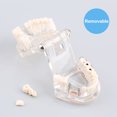 thumbnail image 1 of Ccdes Disease Teaching Study Adult Typodont Demonstration Teeth Model New, Breast Milk Freezer Bags,Breast Milk Bag, 1 of 10