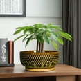 thumbnail image 3 of 8 inch Succulent Planter Bowl Modern Ceramic Pot with Drainage & Bamboo Saucer Shallow Pots for Bonsai Trees Cacti Brown-Green, 3 of 9