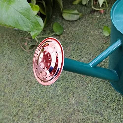 Steel Watering Can Sliver Galvanized Steel Watering Can with Copper Accents,Removable Rosette-Diffuser,One-Gallon Green