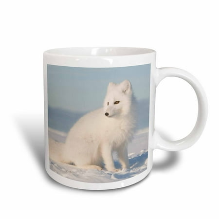 - 3dRose Alaska, 1002 Coastal Plain, ANWR, arctic fox - US02 SKA4921 - Steve Kazlowski, Ceramic Mug, 11-ounce