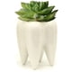 thumbnail image 1 of Soporte de cerámica para cepillos de dientes, para lápices, carne, plantas, macetas, hogar, oficina, escuela, regalo dental, 1 of 6