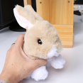 thumbnail image 3 of Mascota Electrónica Interactiva Conejo Borroso Caminar Eléctrico Y, 3 of 9