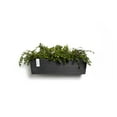 thumbnail image 4 of Ecopots Manhattan Wall Durable Modern Rectangular Indoor/Outdoor Recycled Based Composite Hanging Flower Planter, Dark Grey, 21.5", 4 of 4