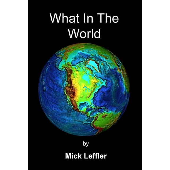 What In The World (Paperback)