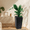 Black, variant on 30 Inch Tall Planters Set of 2, Front Porch Self Watering Pots, Black