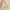 Natural/Pink, variant on Time and Tru Women's Daisy Crossbody, Natural with Pink