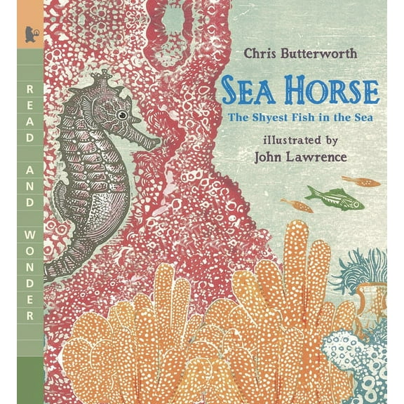 Read and Wonder Sea Horse: The Shyest Fish in the Sea: Read and Wonder (an Ocean Animal and Marine Life Book for Grades K-3 and Kids Age, (Paperback)