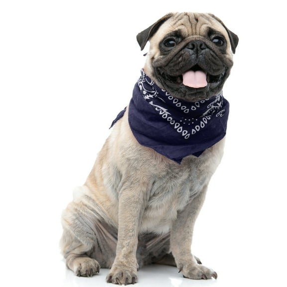 Paisley Polyester Set of 3 Dog & Cats Bandana Triangle Bibs  - Regular Size (Blue)