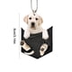 thumbnail image 4 of DQrwqpou Para Cachorro Coche Tamaño Compacto Mini para Cachorros Regalos (estilo B), 4 of 9