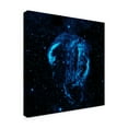 thumbnail image 2 of Trademark Fine Art 'Space Photography VIII' Canvas Art by Unknown, 2 of 4