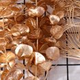 thumbnail image 2 of (Eucalyptus leaf) simulation golden ginkgo leaf eucalyptus leaf golden plastic fan leaf, 2 of 12