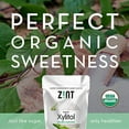 Zint Organic Xylitol Sweetener Natural Sugar Free Substitute, Non GMO
