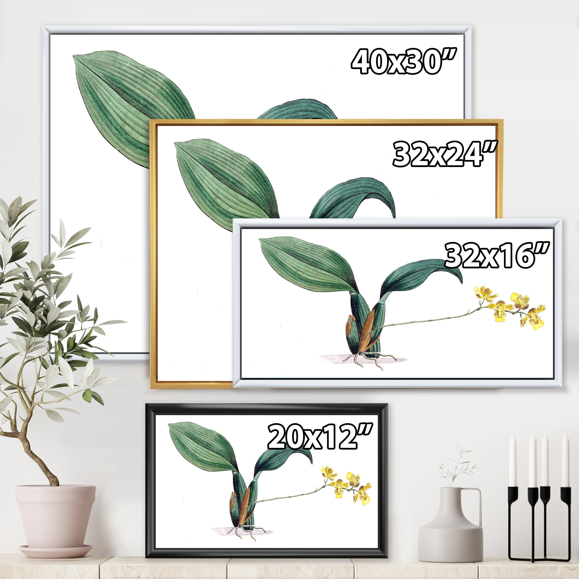 Designart 'Ancient Plant Life VI' Traditional Framed Canvas Wall Art Print