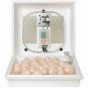 Miller Mfg Co Egg Incubator Circulated Air 10300
