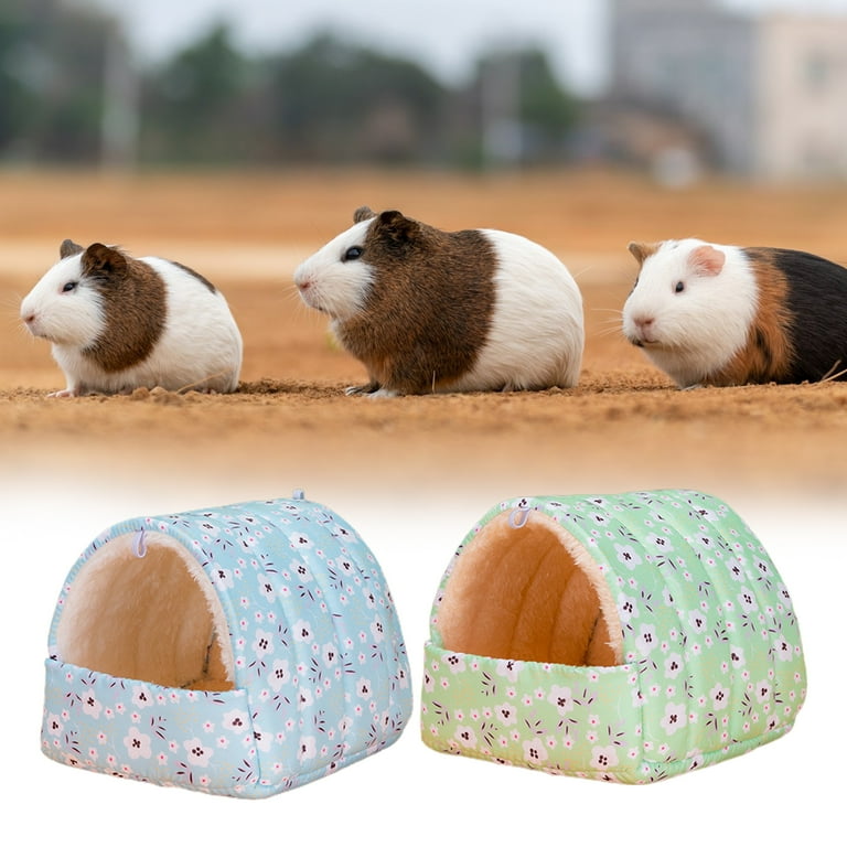 Guinea pig house walmart cheap