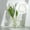 Clear, variant on SLUOHZXI Ellipse Vase,Oval Vase Clear Acrylic Flower Vase Floral Centerpiece Modern Vase for Dning Tables Home Decor