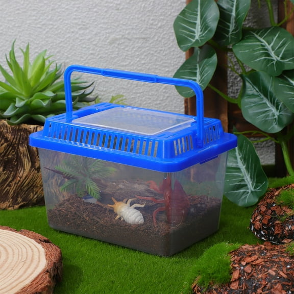 AURARMLET Travel Fish Tank Reptile Tank Square Plastic Aquarium for Home Use 1 Piece Portable Small Terrarium