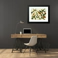 thumbnail image 4 of Emil August Göldi 24x19 Black Modern Framed Museum Art Print Titled - Beija-Flores (1900-1906), 4 of 5