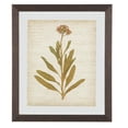 thumbnail image 3 of Wooden Frame Wall Art with Botanical Design Set of 4 Green and Brown, 3 of 5